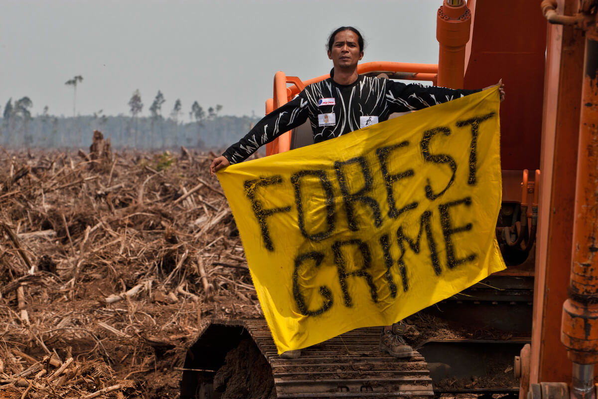 Persona su macchinario in area disboscata regge uno striscione giallo con scritto FOREST CRIME in segno di protesta.