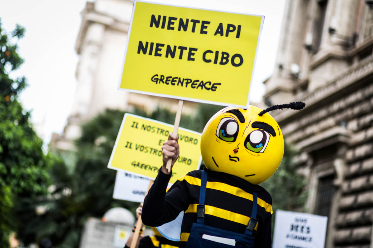 Attivisti di Greenpeace vestiti da ape protestano al Ministero chiedendo il bando dei pesticidi neonicotinoidi.